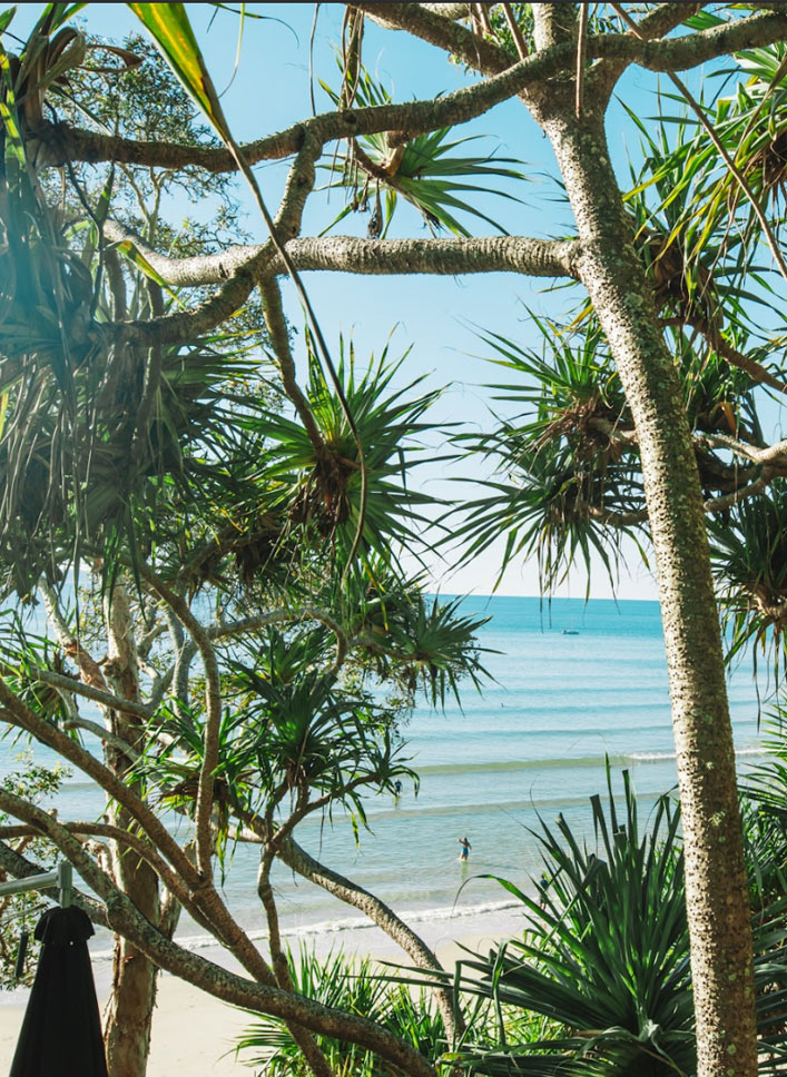 Walk Noosa National Park